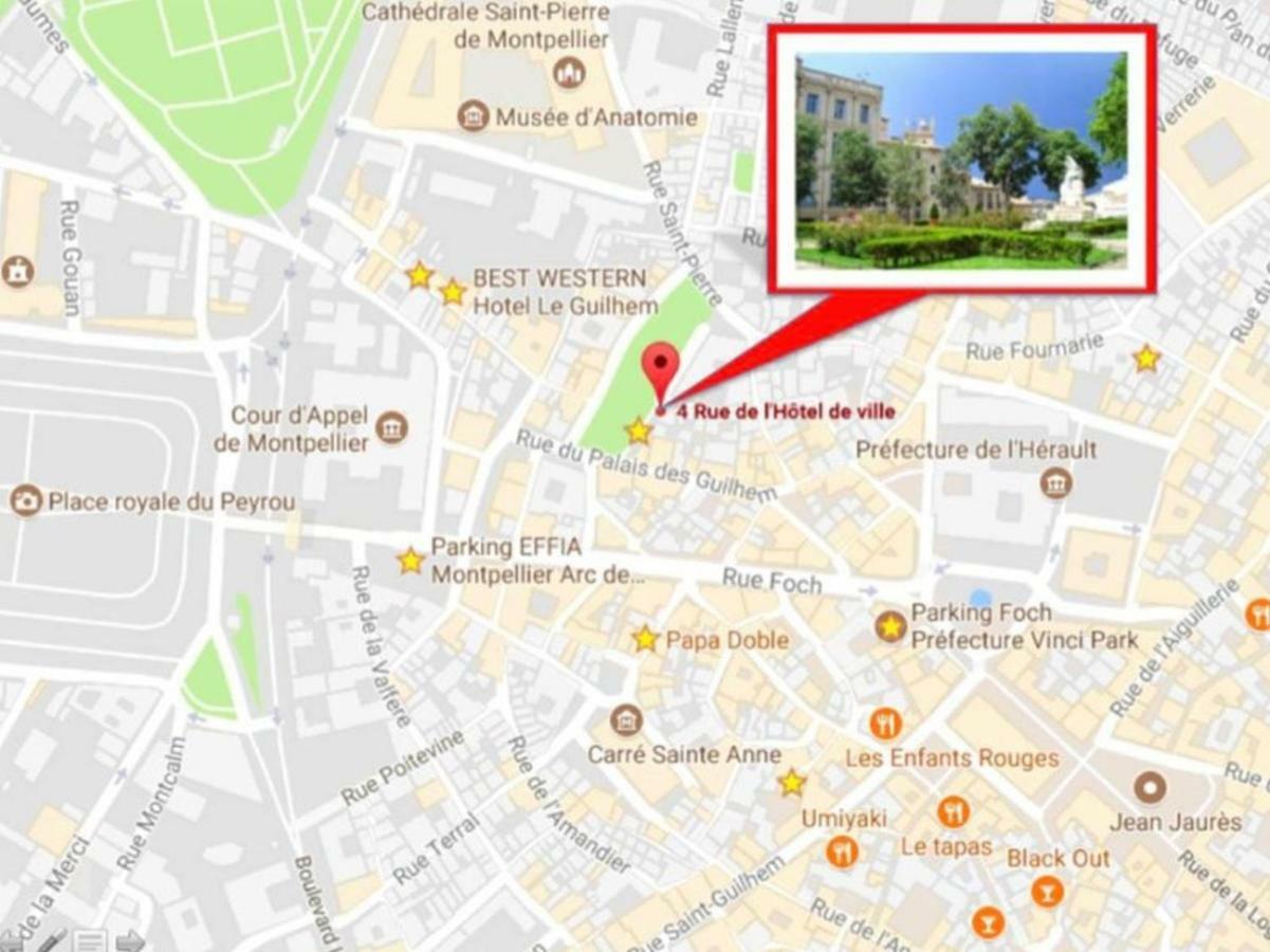 Le Platane De La Canourgue Montpellier Exterior foto